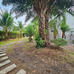 Mình Cần Cho Thuê Resort Mini Nghỉ Dưỡng , Xã Phước Thạnh , Huyện Củ Chi ( Giáp Cổng Chào Tây Ninh)