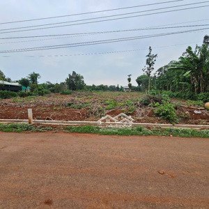 cần bán mảnh đất sào đá bạc gần đường phước tân hội bài, gần vòng xoay đức mỹ