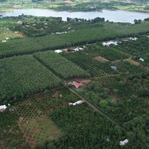 bán lô đất đẹp, giá ngộp tại kim long, vuông vức như bánh chưng