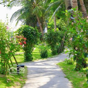 biệt thự, villa casamia balanca hội an kiệt tác biệt thự rừng dừa tài sản truyền đời cho các thế hệ