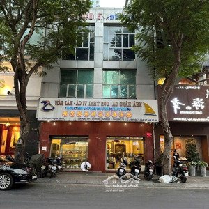 ngang 8m - sử dụng hơn 480m2 - view vàng gần nhà hát thành phố số 55 mạc thị bưởi, quận 1