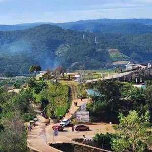 nghẹn ngào vì ngân hàng gần phát mãi - bán gấp miếng 2100m2 ở đà lạt, giá chỉ 600k/m2