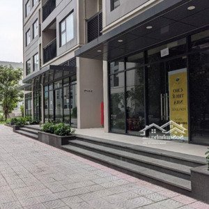 chính chủ bán shop chân đế toà s1.10 vinhomes ocean park, diện tích thông thủy 61 m, mặt tiền 6m,