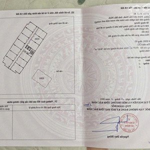 1.450 tỷ sở hữu căn 2 phòng ngủ full nội thất chung cư cát tường tnt thành phố bắc ninh