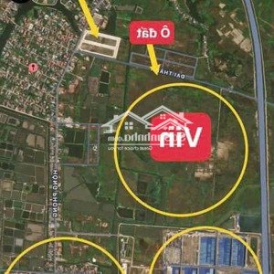 đất đấu giá khu 11 hà an quảng yên 90m quay ngoài giá cực tốt đối diện là dự án vinhomes apllocty