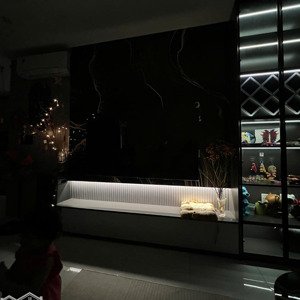 cho thuê căn hộ c-skyview, chánh nghĩa, thủ dầu một, bình dương