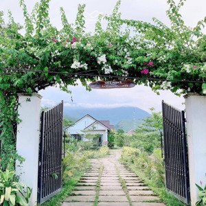 chào bán nhà vườn hòa ninh. diện tích 3200m2 có 400m2 đất ở. có sẵn vila vào ở luôn ạ