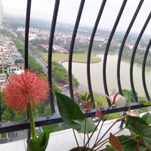 cho thuê căn hộ chung cư an bình city chỉ 11tr, full nội thất. căn hộ 75m2 và 90m2