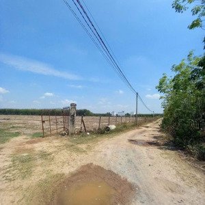 Tôi Chính Chủ Cần Bán Hơn 4,3 Mẫu đất Cây Lâu Năm Tại Xã Thành Long Châu Thành Tây Ninh Giá 5,5 Tỷ