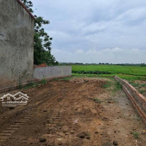 cơ hội đầu tư vàng - bán đất 118m2 mặt đường kinh doanh đê đồng - tiến thịnh - mê linh - hà nội