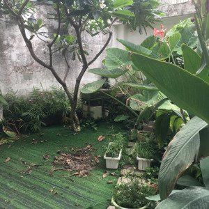 biệt thự - 203m2 - đường 7m - nguyễn duy trinh - bình trưng tây