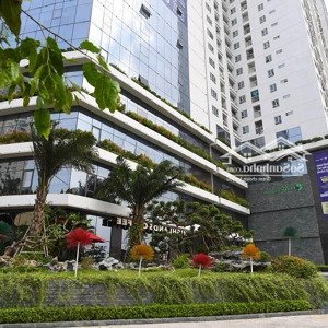 cho thuê văn phòng chuyên nghiệp ngay tại tòa nhà ecolife capital, tố hữu cây xanh vô cùng mát mẻ
