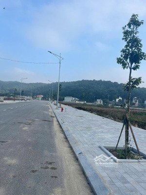 chính chủ bán lô đầu ve, ve nội bộ lk17 và lk11 tại mb520 rừng thông đông sơn