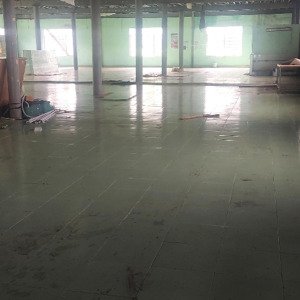 Cho Thuê Nhà Xưởng Dt: 3.000m2, Container Ra Vào 24/24 Xã Tân An Hội, Củ Chi, Hồ Chí Minh