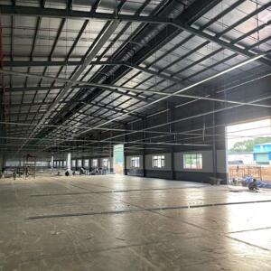 Cho Thuê 11.000m2 Kho Xưởng Mới Bàu Bàng Bến Cát Bình Dương