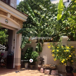 bán biệt thự trần não, gần sông, 90x21m đất, 3 tầng, 4pn, có sân trước và sau
