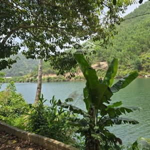 cần bán nhà vườn tại thôn nam mỹ, xã hòa bắc, huyện hòa vang, tp. đà nẵng