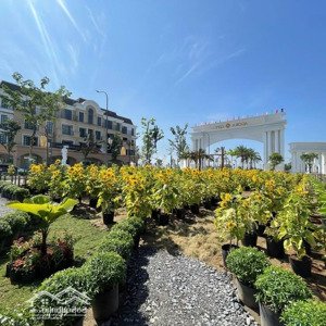 agora city thủ thừa - đô thị hành chính & thương mại hiện đại phía tây tp. hcm
