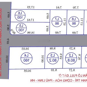 Chính Chủ Phân Lô F0. Phù Linh, Sóc Sơn, Hn , Gần Sân Golf, 28,5 Triệu/m2, 80m2,mặt Phố đường Nhựa