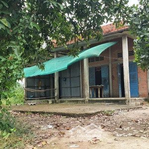 Bán Gấp Nhà Vườn Tại Thủ Thừa Long An