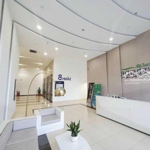 căn hộ ecolife riverside 1pn - 3pn, giảm ngay 400tr, nh hỗ trợ vay tối đa 70%