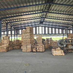 Cho Thuê Xưởng 13.000m² Ngoài KCN Bình Phước – Có Sẵn Máy Móc Ngành Gỗ, PCCC Tự Động