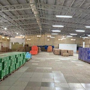 Cho Thuê Kho Xưởng Rộng 1000m2 Ngay Chợ Phường 7, Bến Tre. Hệ Thống Pccc đầy đủ