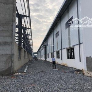 cho thuê nhà xưởng 10.000 m2 trong kcn hải sơn , đức hòa , long an