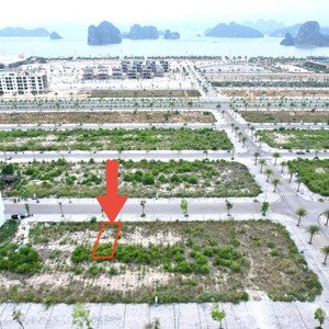 bán lô đất đẹp trung tâm phương đông vân đồn, sát biển, full tiện ích!
