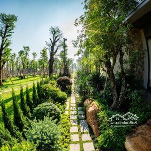 biệt thự đơn lập phiên bản giới hạn ecopark 3 tầng vừa kinh doanh vừa ở mở bán booking 100tr
