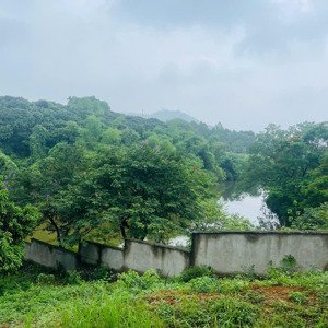 cần bán đất bám hồ - view đẹp tại thôn 1, cố đụng, tiến xuân, thạch thất, hà nội vị trí: thô