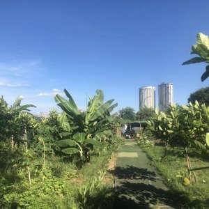 Cho Thuê 1200m2 đất Chân Cầu Long Biên, 10 Triệu Nhà Hàng, Vui Chơi Trải Nghiệm, Cà Phê