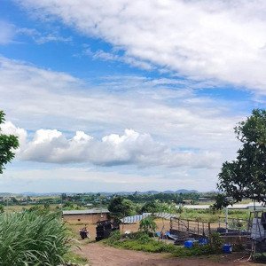 31,5 tỷ diện tích 30.000m². đức trong lâm đồng cách sân bay 3km
