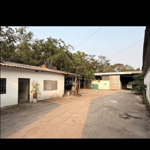 Bán đất Không Sổ Mặt đê Quai Thúy Lĩnh, Lĩnh Nam