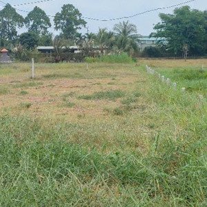 bán đất vườn bình chánh 381m2 mặt tiền nhựa 8m sổ hồng riêng