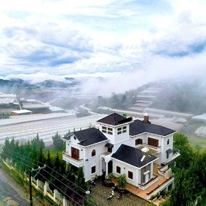 Lớn Tuổi Cần Bán Biệt Thự 7000m2 View Săn Mây, Xã Xuân Thọ - Tp.đà Lạt Rất đẹp