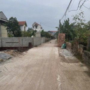 cặp hoa hậu sinh đôi
xóm 2_chương dương_thường tín_hn **dt:40,5 / lô
**mt: 4,5m = hậu 4,