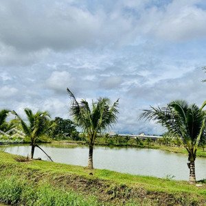 bán trang trại 5ha gia đình đang ở, giáp thác và suối rất đẹp