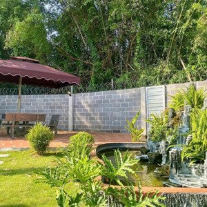 Nhà Vườn Nghỉ Dưỡng. Nha Trang 1000m2 Ngay Xã Vĩnh Hiệp Cách Mỹ Gia 2km Với Giá Rẻ 6 Tỉ