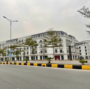 Chính Chủ Bán Hoặc Cho Thuê Căn Shophouse Korea Touwn, Trung Tầm Sầm Uất, Thuân Lợi Kinh Doanh Dvu!