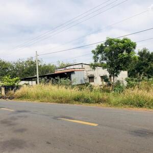 CẦN SANG LỖ NỀN ĐẤT 1000M2 THỔ CƯ GẦN SAU CHỢ THANH LƯƠNG BÌNH LONG GIÁ 290 TRIỆU