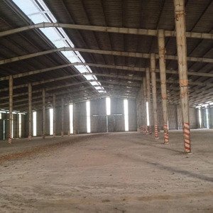 Cho Thuê Kho, Nhà Xưởng, đất Tại đt 741, Tiến Hưng, đồng Xoài, Bình Phước, 180 Triệu, 6000 M2