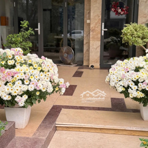 mới nhất! em xin cập nhật quỹ căn thuê giá tốt chỉ từ 12 triệu tại vinhomes thăng long