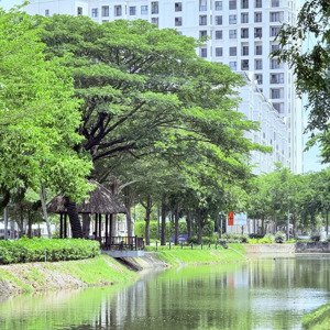 Cho Thuê Căn Hộ 1pn, 2pn, Căn Góc ở Swanbay