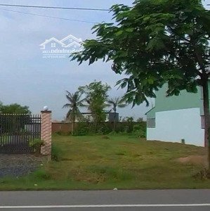 bán gấp lô đất mt quốc lộ 50, gần trường thcs tân lân, shr sang tên ngay giá cực hời chỉ 1.25 tỷ
