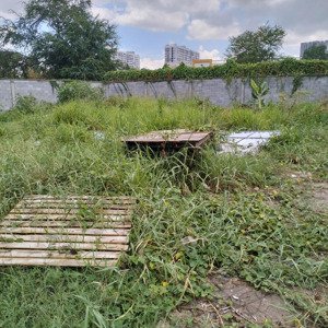 chính chủ cần cho thuê 10.000 m2 đất 2 mặt tiền p. linh tây, tp. thủ đức. 250tr