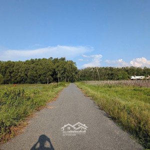 chính chủ bán đất tại an nhơn tây, củ chi, hcm, giá 19 tỷ, dt 6822 m2, ngay khu safari củ chi