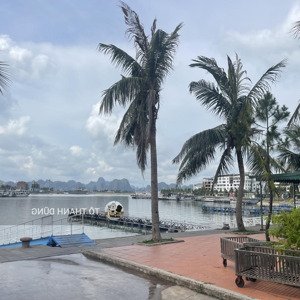 Bán Shophouse 4 Tầng, 108m2, Giá Siêu Hời ở Kđt Cảng Ngọc Châu, Hạ Long