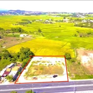 bán gấp 3205m , có 1000m đất ở đô thị còn lại cây lâu năm