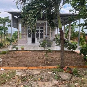 Kẹt Tiền Bán Gấp Nhà Vườn 1000m2 Sổ Hồng Riêng Giá Rẻ, Ngay Trung Tâm Thị Trấn Cần đước, Long An